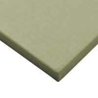 Aikido Matte Traditional LANG / 200 x 100 x 4cm / GRÜN