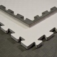 Kampfsportmatten Wendematte BUDODRAKE / 100 x 100 x 2cm /...