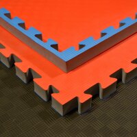 Kampfsportmatten Wendematte BUDODRAKE / 100 x 100 x 4cm /...